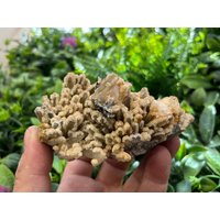 Quarz Chlorit Calcit Lacky Bulgarien Natürliche Kristall Mineralien Probe Cluster Souvenirs Wholesalemineralsbox von migiminerals