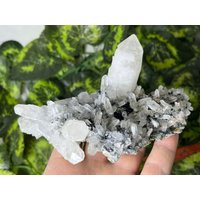 Quarz Chlorit Calcit Madan Bulgarien Natürliche Kristall Mineralien Muster Cluster Souvenirs Wholesalemineralsbox von migiminerals