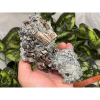 Quarz Chlorit Calcit Pyrit Madan Bulgarien Natürliche Kristall Mineralien Probe Cluster Souvenirs von migiminerals