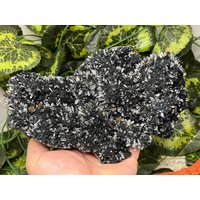 Quarz Chlorit Chalkopyrit Madan Bulgarien Natürliche Kristallmineralien Mustercluster Souvenirs Wholesalemineralsbox von migiminerals