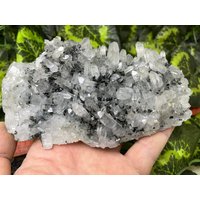 Quarz Chlorit Madan Bulgarien Natürliche Kristall Mineralien Probe Cluster Souvenirs Wholesalemineralsbox von migiminerals