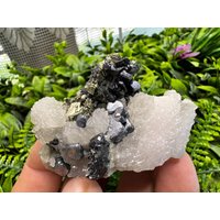 Quarz Galena Calcit Sphalerit Chalkopyrit Pyrit Marzian Mine Erma Reka Bulgarien Quarz Galena Calcit Sphalerit Chalkopyrit Pyrit Marzian Mine Erma Reka Bulgarien von migiminerals