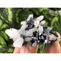 Quarz Galena Calcit Sphalerit Madan Bulgarien Natürlichen Kristall Mineralien Probe Cluster Souvenirs von migiminerals