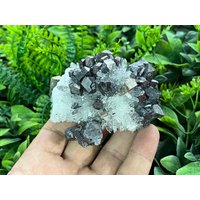 Quarz Galena Pyrit Madan Bulgarien Natürliche Kristallmineralien Mustercluster Souvenirs Wholesalemineralsbox von migiminerals