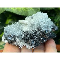 Quarz-Kalzit-Sphalerit Galena Madan Bulgarien Natürliche Kristallmineralien Probe-Cluster-Souvenirs Wholesalemineralsbox von migiminerals