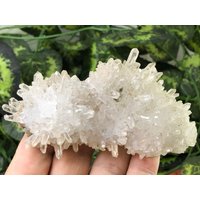 Quarz Klar Madan Bulgarien Natürliche Kristall Mineralien Probe Cluster Souvenirs von migiminerals
