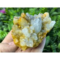 Quarz Limonit Hämatit Madjarovo Bulgarien Natürliche Kristallmineralien Mustercluster Souvenirs Wholesalemineralsbox von migiminerals