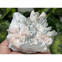 Quarz Manganocalcit Lacky Bulgarien Natürliche Kristall Mineralien Probe Cluster Souvenirs Wholesalemineralsbox von migiminerals