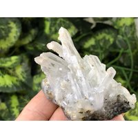 Quarz Pyrit Calcit Madan Bulgarien Natürlichen Kristall Mineralien Probe Clusters Souvenirs von migiminerals
