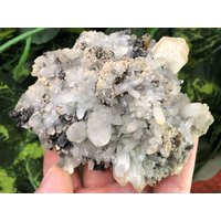 Quarz Pyrit Calcit Sphalerite Madan Bulgarien Natürliche Kristall Mineralien Probe Cluster Souvenirs von migiminerals