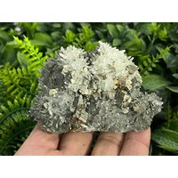 Quarz Pyrit Chlorit Madan Bulgarien Natürliche Kristall Mineralien Muster Cluster Souvenirs Wholesalemineralsbox von migiminerals