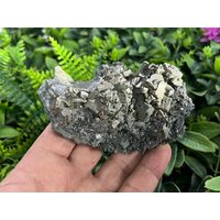 Quarz Pyrit Chlorit Madan Bulgarien Natürliche Kristall Mineralien Muster Cluster Souvenirs Wholesalemineralsbox von migiminerals