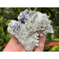 Quarz Pyrit Galena Dolomit Madan Bulgarien Natürliche Kristall Mineralien Probe Cluster Souvenirs Wholesalemineralsbox von migiminerals