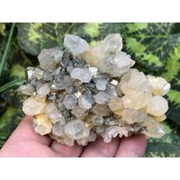 Quarz Pyrit Madan Bulgarien Natürliche Kristall Mineralien Probe Cluster Souvenirs Wholesalemineralsbox von migiminerals