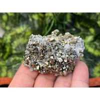 Quarz Pyrit Madan Bulgarien Natürliche Kristallmineralien Muster Cluster Souvenirs Wholesalemineralsbox von migiminerals