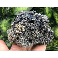 Quarz Pyrit Sphalerit Galena Borieva Mine Madan, Bulgarien Natürliche Kristallmineralien Quarz Pyrit Sphalerit Galena Borieva Mine Madan, Bulgarien Natürliche Kristallmineralien von migiminerals