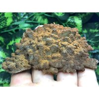 Quarz Rhodochrosit Lacky Bulgarien Natürliche Kristall Mineralien Probe Cluster Souvenirs von migiminerals