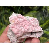 Quarz Rhodochrosit Madan Bulgarien Natürliche Kristall Mineralien Probe Cluster Souvenirs von migiminerals