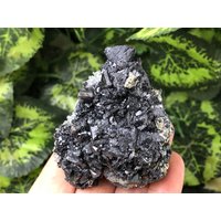 Quarz-Sphalerit Chalcopyrit -Deveti Septemvri Mine-Madan Bulgarien Natürliche Mineralien Probe Cluster von migiminerals
