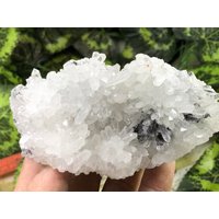 Quarz Sphalerit Chalcopyrit Galena Madan Bulgarien Natürliche Kristall Mineralien Probe Cluster Souvenirs Wholesalemineralsbox von migiminerals