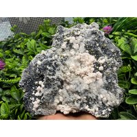 Quarz Sphalerit Chalkopyrit Galena Madan Bulgarien Natürliche Kristallmineralien Mustercluster Souvenirs Wholesalemineralsbox von migiminerals