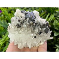 Quarz Sphalerit Chalkopyrit Galena Madan Bulgarien Natürlichen Kristall Mineralien Muster Cluster Souvenirs von migiminerals