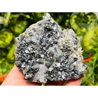 Quarz Sphalerit Galena Madan Bulgarien Natürliche Kristallmineralien Mustercluster Souvenirs Wholesalemineralsbox von migiminerals