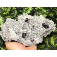 Quarz-Sphalerit | Kleophan Chalkopyrit - Deveti Septemvri Mine- Madan Bulgarien Natürliches Mineral Specimencluster von migiminerals