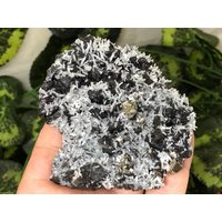 Quarz Sphalerit Pyrit Madan Bulgarien Natürlichen Kristall Mineralien Probe Clusters Souvenirs von migiminerals