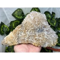 Quarz Transparent Hämatit Limonit Madan Bulgarien Natürliche Kristall Mineralien Probe Cluster Souvenirs von migiminerals