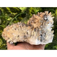 Quarz Transparent Sphalerit Calcit Galena Bulgarien Natürliche Kristallmineralien Mustercluster Souvenirs Wholesalemineralsbox Quarz Transparent Sphalerit Calcit Galena Bulgarien Natürliche Kristallmineralien Mustercluster Souvenirs Wholesalemineralsbox von migiminerals