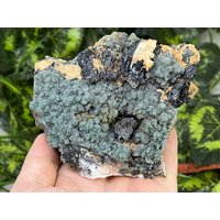 Quarzchlorit Calcit Sphalerit Madan Bulgarien Natürliche Kristallmineralien Mustercluster Souvenirs von migiminerals