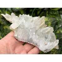 Quarzchlorit Madjarovo Bulgarien Natürliche Kristallmineralien Mustercluster Souvenirs Wholesalemineralsbox von migiminerals