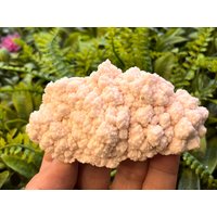 Rhodochrosit Manganocalcit Madan Bulgarien Natürliche Kristallmineralien Mustercluster Souvenirs Wholesalemineralsbox Rhodochrosit Manganocalcit Madan Bulgarien Natürliche Kristallmineralien Mustercluster Souvenirs Wholesalemineralsbox von migiminerals