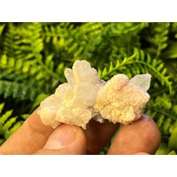 Rhodochrosit Quartz Madan Bulgarien Natürliche Kristall Mineralien Probe Cluster Souvenirs Wholesalemineralsbox von migiminerals