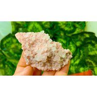 Rhodochrosit Quartz Madan Bulgarien Natürliche Kristall Mineralien Probe Cluster Souvenirs Wholesalemineralsbox von migiminerals