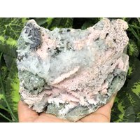 Rhodochrosit Quarz Chlorit Sphalerit Chalkopyrit Madan Bulgarien Natürlichen Kristall Mineralien Probe Cluster Souvenirs von migiminerals