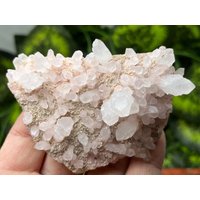 Rhodochrosit Quarz Madan Bulgarien Natürliche Kristallmineralien Muster Cluster Souvenirs von migiminerals