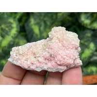 Rhodochrosit Stilbit Davidkovo Bulgarien Natürliche Kristall Mineralien Muster Cluster von migiminerals