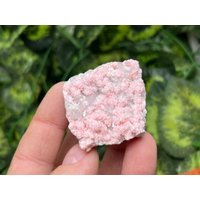 Rhodochrosit Stilbit Quarz Davidkovo Natürlichen Kristall Mineralien Probe Clusters Souvenirs Wholesalemineralsbox von migiminerals