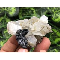 Sphalerit-Calcit-Deveti Septemvri Mine-Madan Bulgarien Sphalerit-Calcit-Deveti Septemvri Mine-Madan Bulgarien von migiminerals