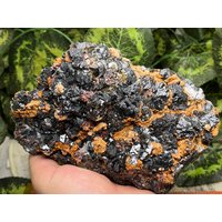 Sphalerit Calcit Limonit Hämatit Pyrit Quarz Madan Bulgarien Natürliche Kristall Mineralien Muster Cluster von migiminerals