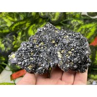 Sphalerit Chalcopyrit Madan Bulgarien Natürliche Kristall Mineralien Probe Cluster Souvenirs von migiminerals