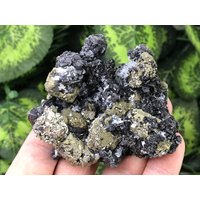 Sphalerit Chalkopyrit Pyrit Deveti Septemvri Mine Madan Bulgarien Geschenke, Mineral, Tischdekoration, Schreibtischdekoration, Heilkristalle Sphalerit Chalkopyrit Pyrit Deveti Septemvri Mine Madan Bulgarien Geschenke, Mineral, Tischdekoration, Schreibtischdekoration, Heilkristalle von migiminerals