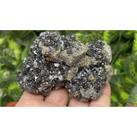 Sphalerit Chalkopyrit Quarz Borieva Mine Madan Bulgarien Natürliche Kristallmineralien Mustercluster Souvenirs Wholesalemineralsbox von migiminerals