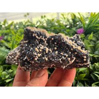 Sphalerit - Dolomit Quarz-Borieva Mine-Madan Bulgarien von migiminerals