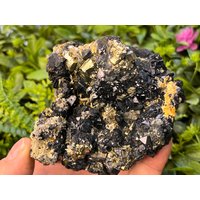 Sphalerit-Galena-Pyrit Chalkopyrit-Limonit-Deveti Septemvri Mine-Madan Bulgarien Natürliche Kristallmineralien von migiminerals