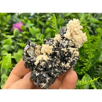 Sphalerit Galena Quarz Calcit Madan Bulgarien Natürlichen Kristall Mineralien Exemplar Cluster Souvenirs von migiminerals