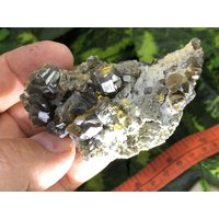 Sphalerit | Kleophan Madan Bulgarien Natürliche Kristallmineralien Probecluster von migiminerals