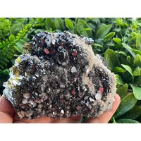 Sphalerit | Kleophan Quartz Galena Madan Bulgarien Natürliche Kristall Mineralien Probe Cluster Souvenirs von migiminerals